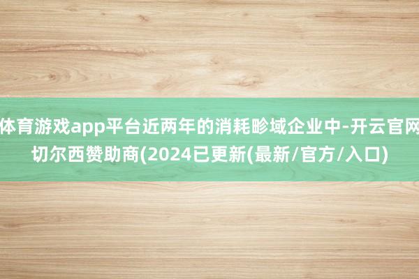 体育游戏app平台近两年的消耗畛域企业中-开云官网切尔西赞助商(2024已更新(最新/官方/入口)