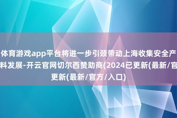 体育游戏app平台将进一步引颈带动上海收集安全产业的高质料发展-开云官网切尔西赞助商(2024已更新(最新/官方/入口)